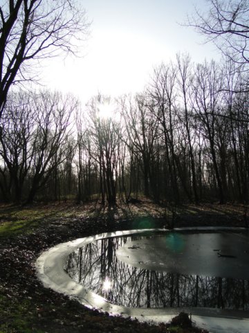 NWK 2010 191.jpg